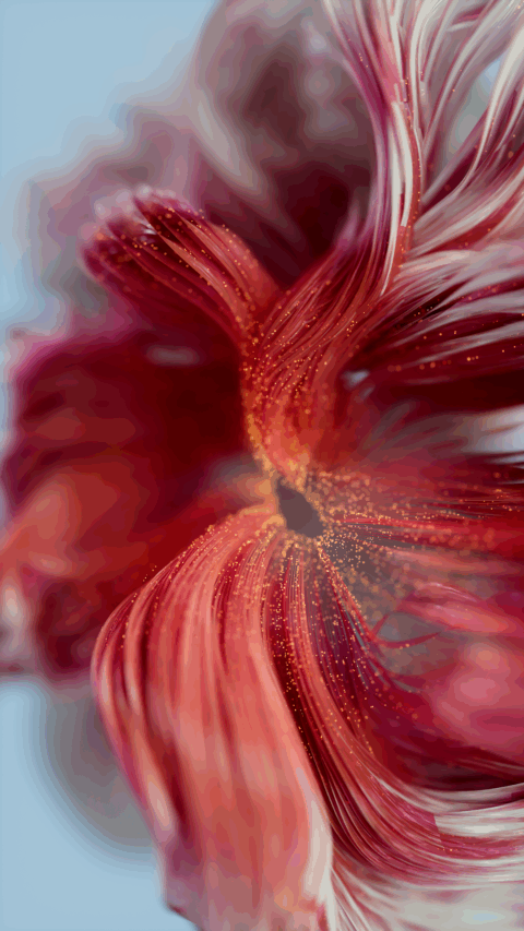Flower 3D CGI