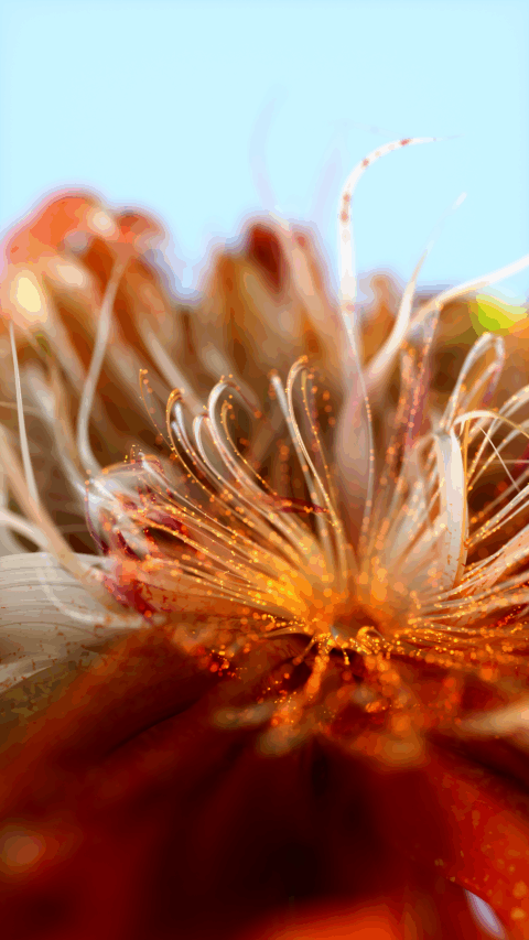 Flower 3D CGI
