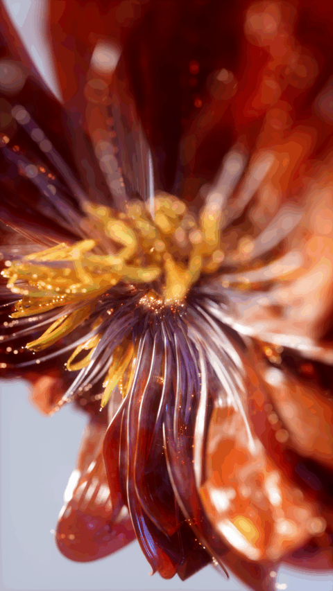 Flower 3D CGI