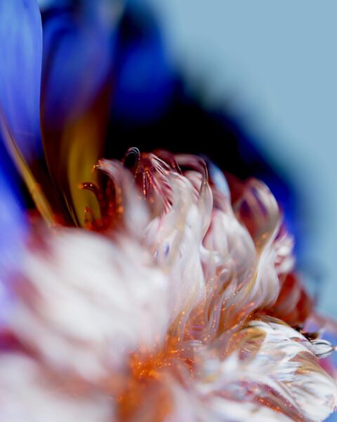 Flower 3D CGI