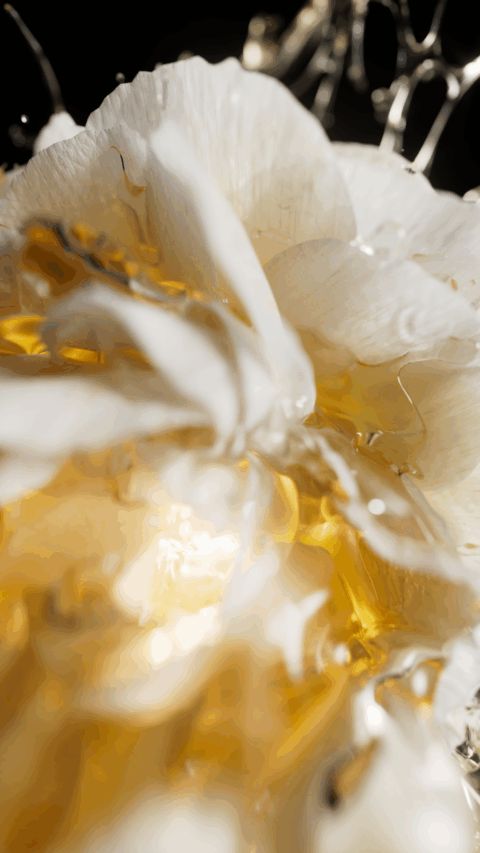 Flower 3D CGI